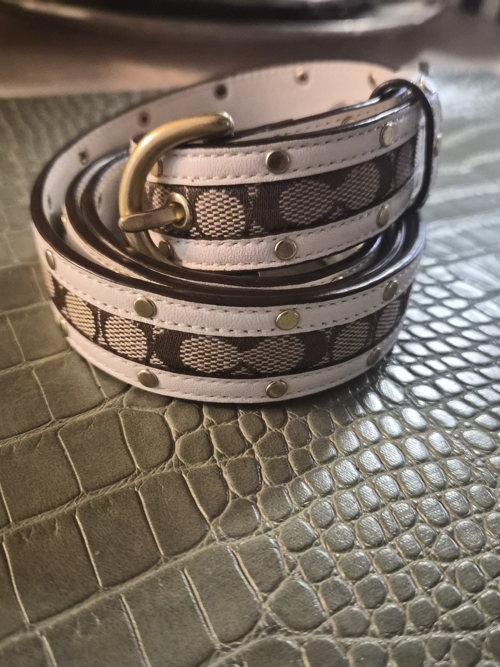 Coach Brown Signature Canvas Belt with White Leather Trim and Gold Hardware